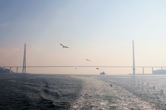 亚洲最大的斜拉大桥