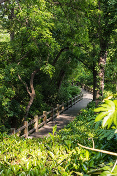 八字山公园园林景观