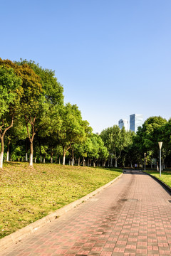 奥体中心园林绿化
