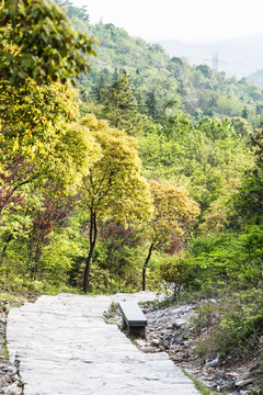 阳山碑材景区山道