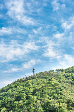 天空和绿林