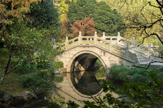 杭州西湖花港观鱼