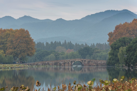 杭州西湖孤山西泠桥