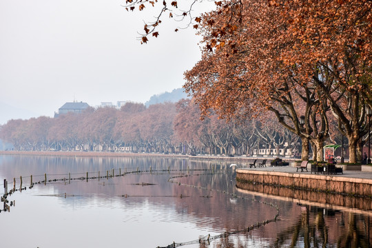 西湖秋景 秋风萧瑟