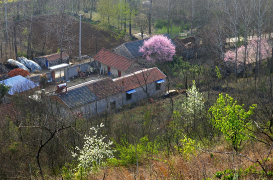 山谷小院