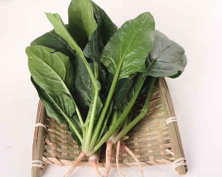 菠菜 蔬菜 绿色 健康 素食