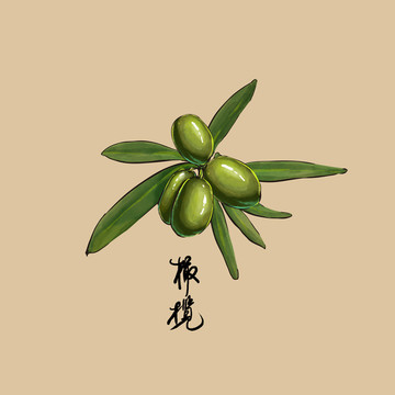 橄欖插畫