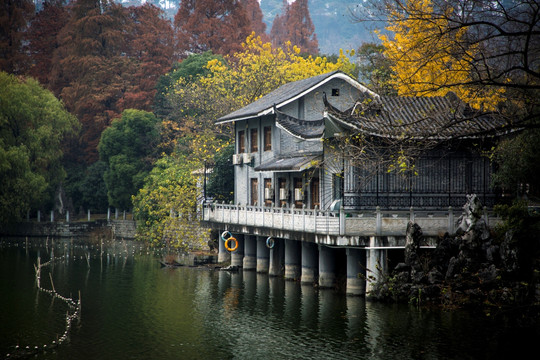 莲花湖秋意