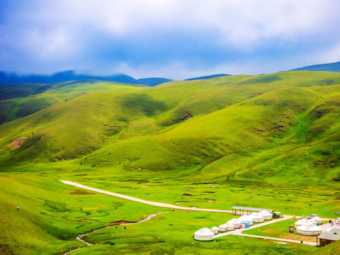 高原草场