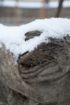 落雪