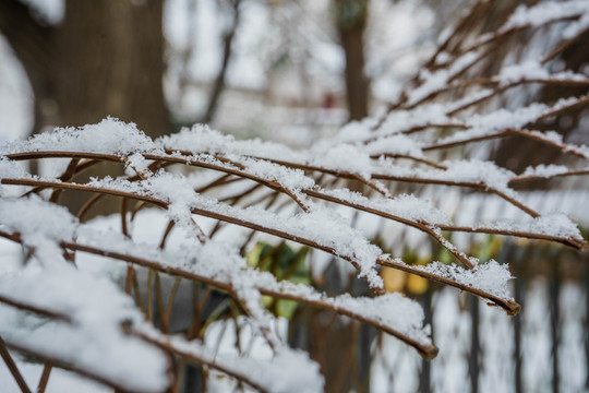 雪栅栏