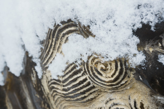 落雪神兽