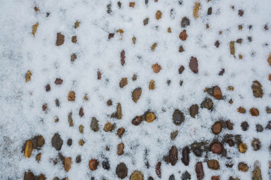 雪地