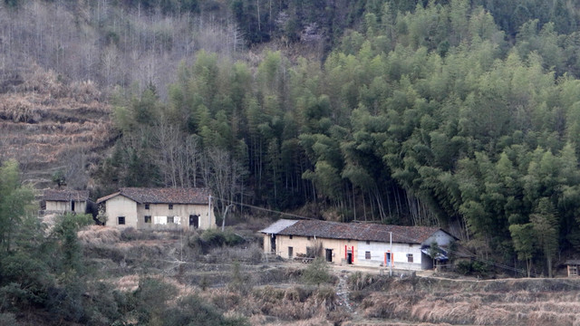 竹林 村庄