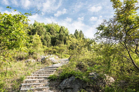 山道