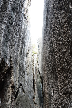 阳山碑材