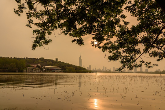 玄武湖湖景