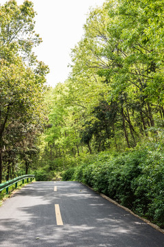 金牛山林间公路