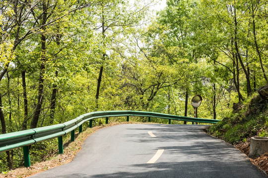 金牛山林间公路