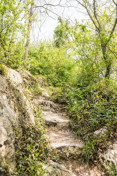 金牛山山道