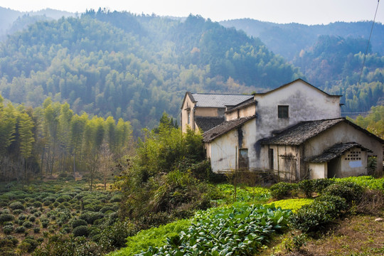 江南民居 山村