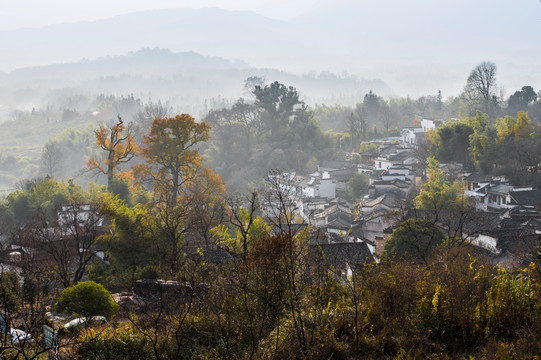 黟县塔川 秋色