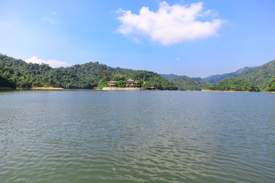 热带雨林