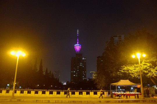 成都锦绣天府塔 夜景远看