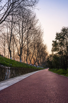 黄昏绿道