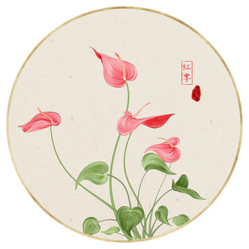 水彩花卉 紅掌