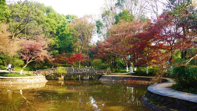 冬日多彩风景