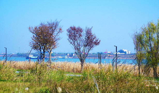 巴溪洲风景