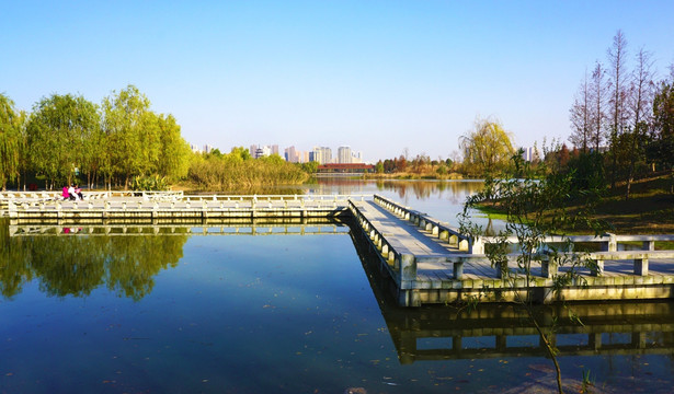 洋湖湿地公园景区