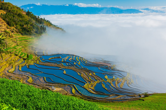 红河梯田