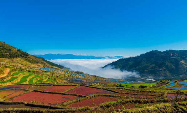 红河梯田