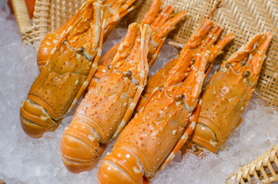 泰国小龙虾