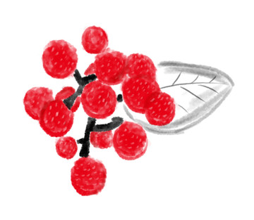 紅花椒水墨插畫