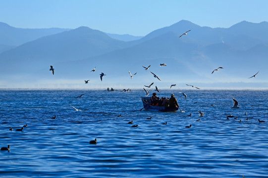 沪沽湖