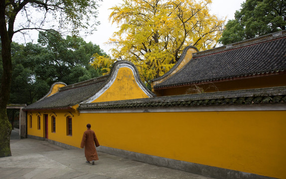 阿育王寺