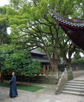 阿育王寺