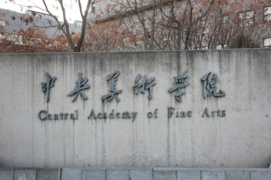 中央美術(shù)學院