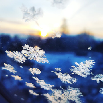 雪花 冬景