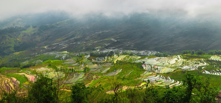 红河梯田