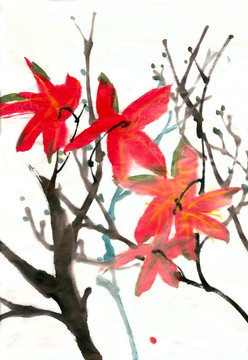 紅色的花