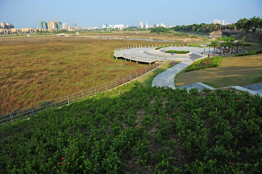 湿地公园