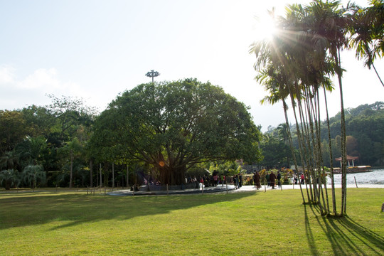 深圳仙湖植物园