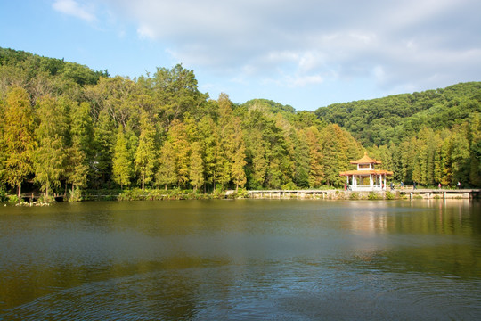 深圳仙湖植物园