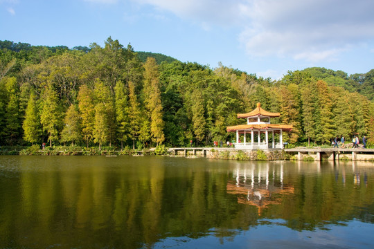 仙湖植物园