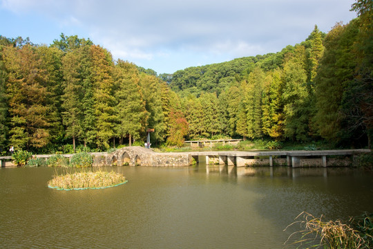 深圳仙湖植物园