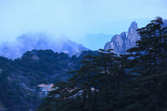 山峰 山间 松树